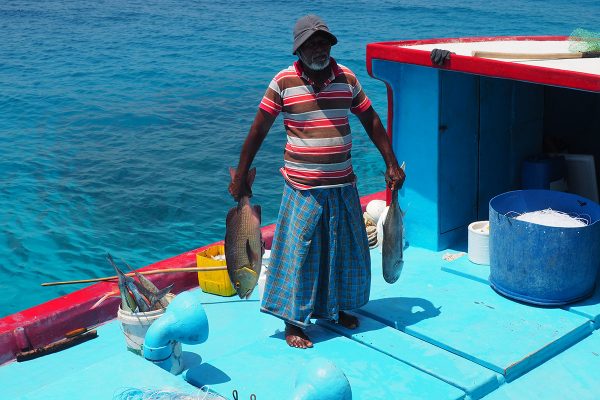 Improving The Sustainability Of Maldivian Fisheries