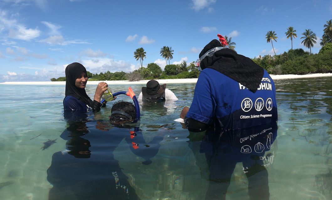 Our Work Maldivians In Marine Conservation
