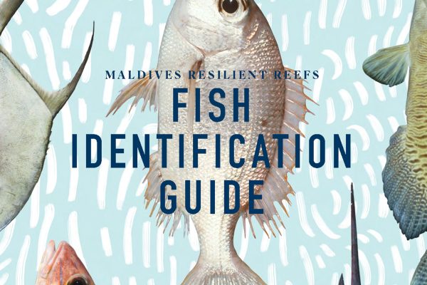 Reef Fish ID Guide Header