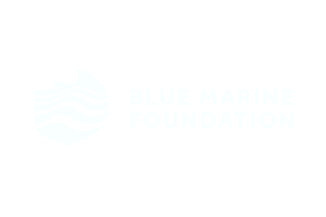Blue Marine Foundation