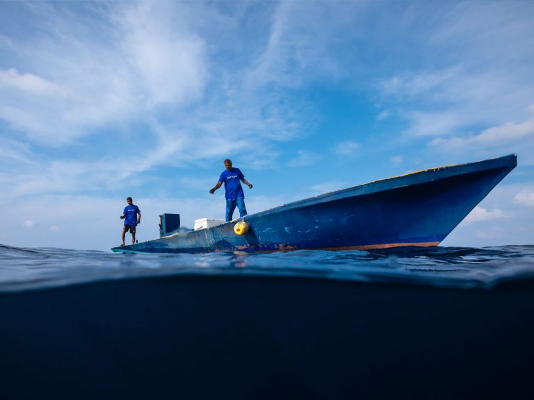 Laamaseelu Masveriyaa