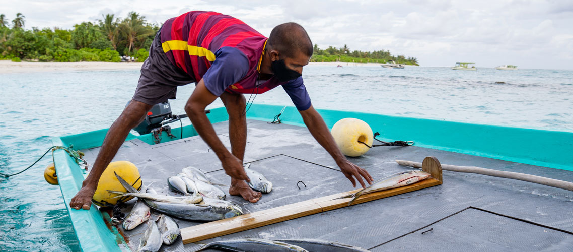 Laamaseelu Masveriyaa Local Fisherman