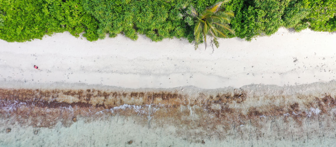 Laamu MPA 1