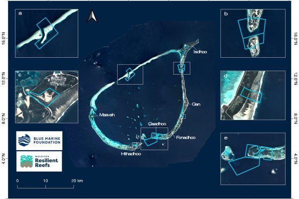Laamu MPA Network Header