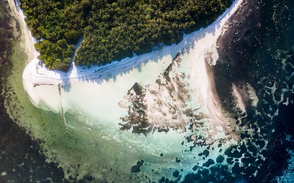 Protectmaldivesseagrass 2