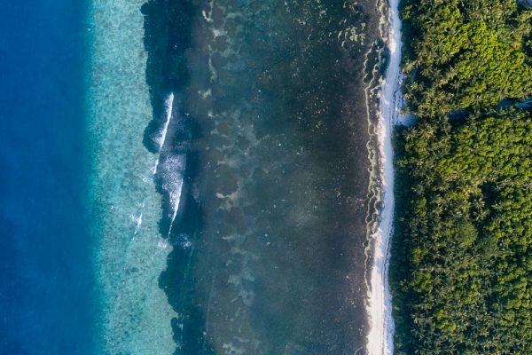Protectmaldivesseagrass 3