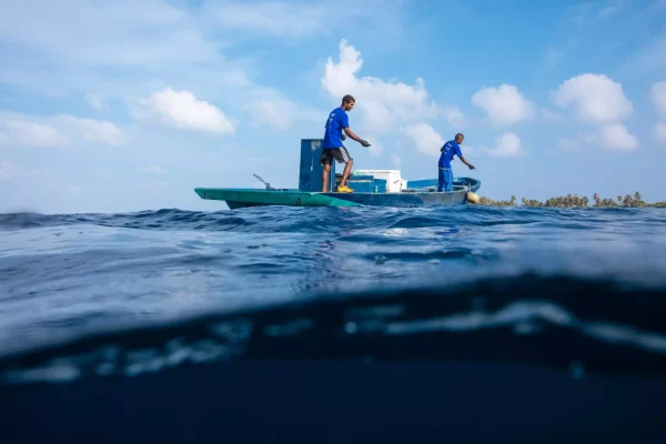 MAT 4204 1 1920x1280 1