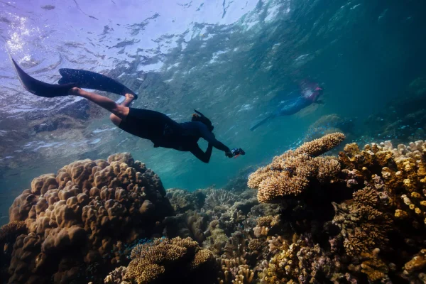 SixSenses Dive 7 2048x1365 1
